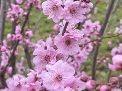 -阿哈湖国家湿地公园