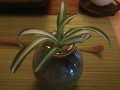 -江南忆茶坊(城市店)