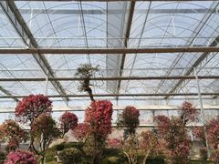 -沂蒙云瀑洞天景区