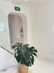 -安那般那皮肤年轻化ANAPANA