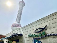 -上海海洋水族馆