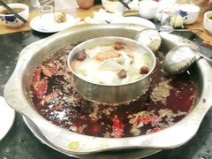 -金鼎雪山牦牛杂火锅(理县总店)