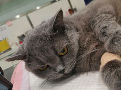 -佳雯宠物医院·皮肤科·内外科(春晓路分院)