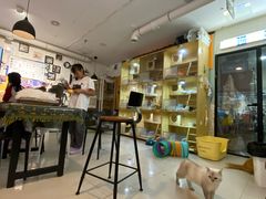 -平行世界·猫咖(首经贸店)