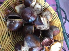 -观桥阁(锦溪店)