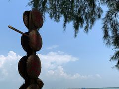 -北海金海湾红树林生态旅游区