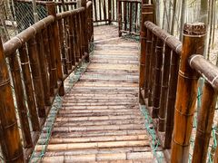 -陶祖圣境风景区