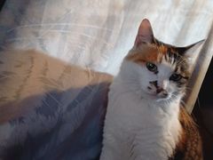 -天地無用GAME BAR