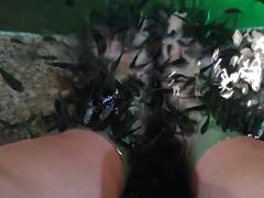 -宝丽金大酒店·洗浴中心