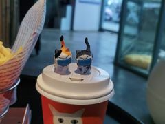 -喵屿·大理花园猫咖
