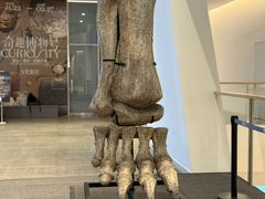 -OGGI TRATTORIA PIZZERIA(深业上城店)