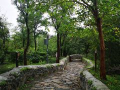 -阳台山自然风景区