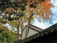 -上海醉白池公园