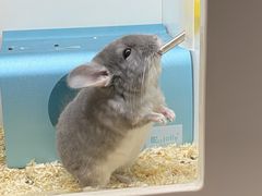 -龙猫仔乐园(惠福东路店)