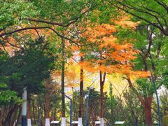 -苏州河梦清园环保主题公园