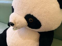 -眉州东坡·熊猫主题餐厅(枫蓝店)