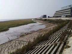 -南汇嘴观海公园