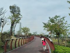 -王借岗森林公园