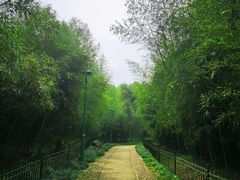 -杭州植物园