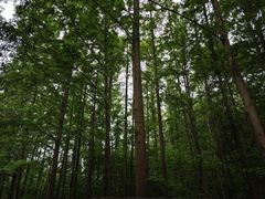 -幕燕滨江·长江观音景区