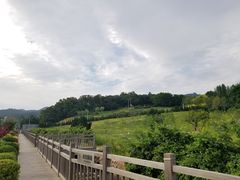 -棒棰岛宾馆景区