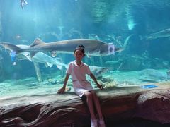 -华夏文旅海洋公园