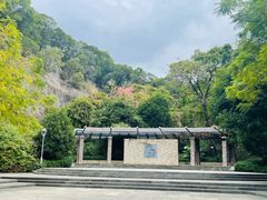 -金鸡山公园