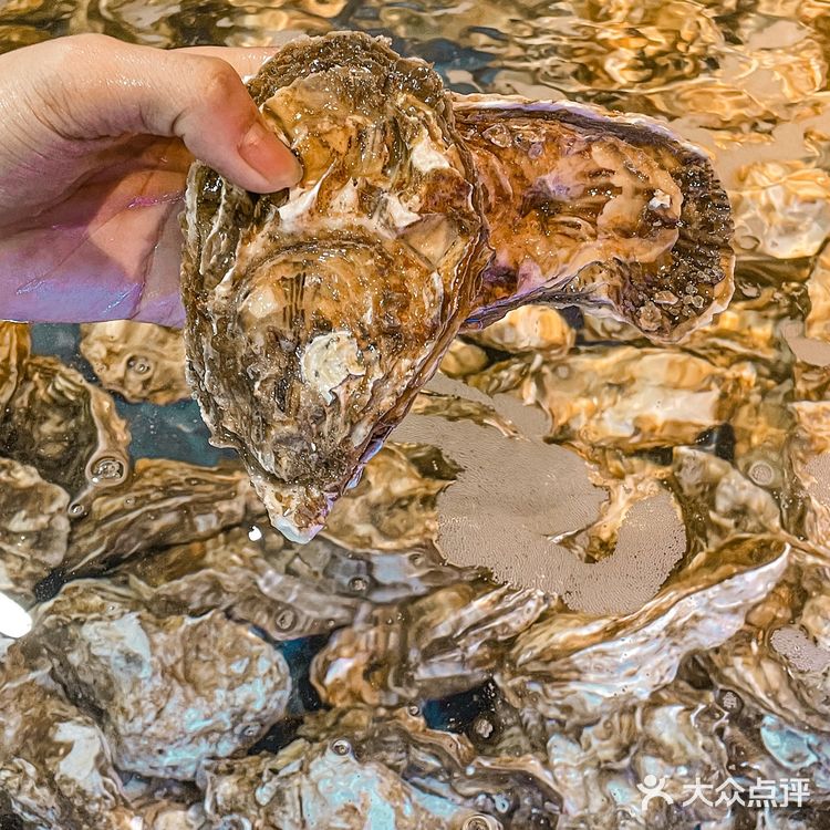 深圳这家正宗的湖南烧烤🔥真的太好了叭‼