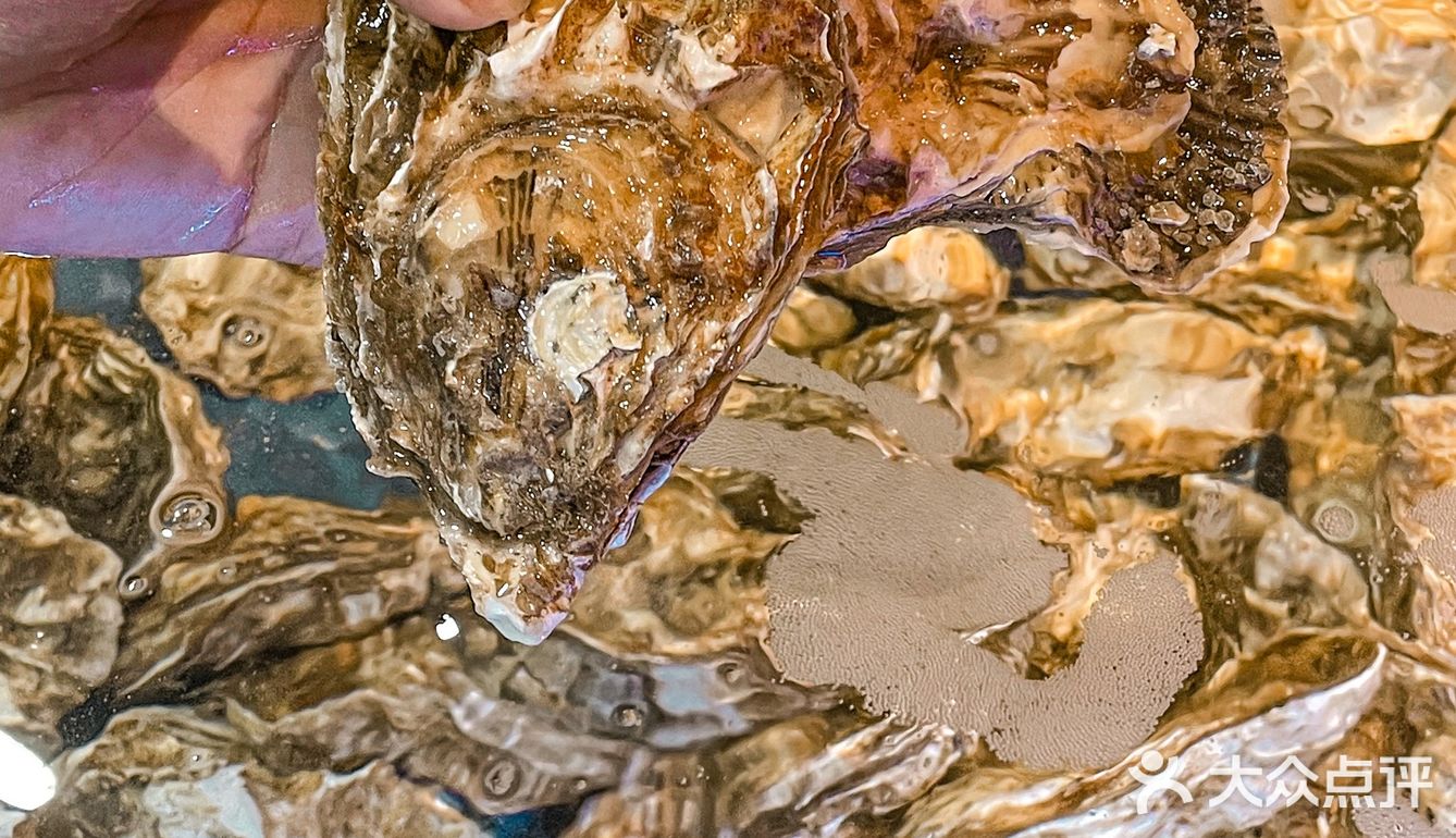 深圳这家正宗的湖南烧烤🔥真的太好了叭‼