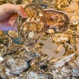 深圳这家正宗的湖南烧烤🔥真的太好了叭‼