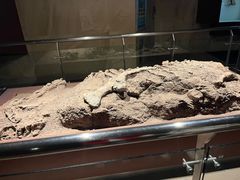 -世界恐龙谷景区