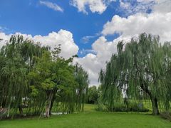 -西山漾湿地公园