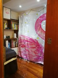-肌理言健康美肌驻颜所