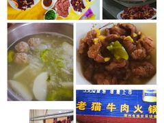 -老猫牛肉火锅(沙溪店)