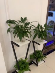 -香秀空间科技抗衰·美容中心