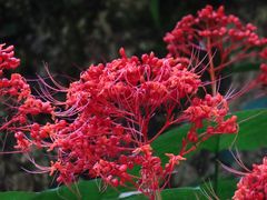 -飞霞风景名胜区