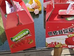 -小鱼草莓采摘园农家乐·小鱼餐厅