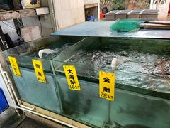 -寻味顺德·南记酒家·传统顺德菜·鱼生(广源路店)