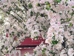 -北京奥林匹克公园