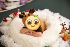 -西瓜庄园儿童摄影
