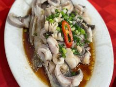 -先鲜鲫鱼粥