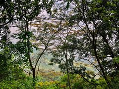 -阳台山森林公园