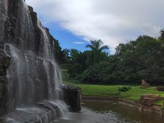 -海南热带野生动植物园