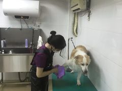 -创凡宠物医院·骨专科  猫科中心(西乡分院)