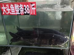 -深圳柯记餐厅(大望店)