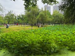 -沐仙湖湿地公园