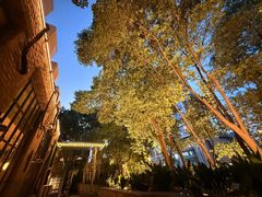 -宝莱纳啤酒花园餐厅PAULANER BRAUHAUS Nanjing(广州路店)