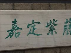 -嘉定紫藤园