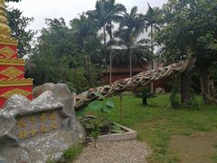 -瑞丽独树成林风景区