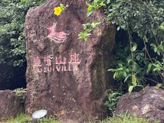 -杨梅坑